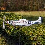 Aircraft Wind Vane