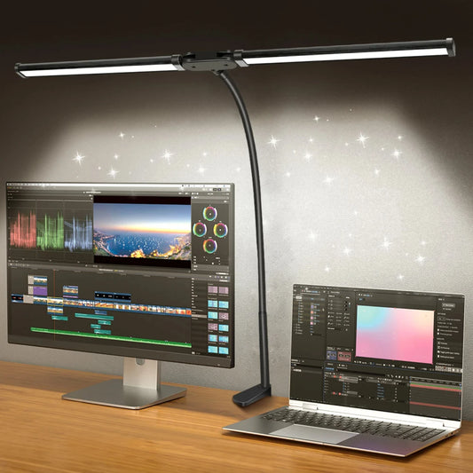 Double LED Desk Lamp