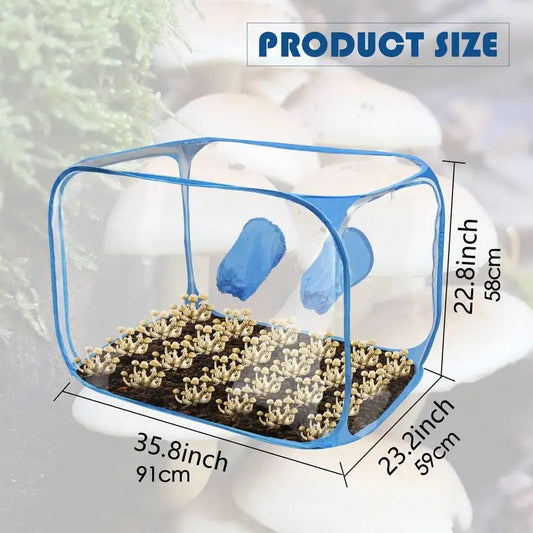 Still Air Box for Mushroom Growing