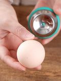 Stainless Steel Egg Piercer